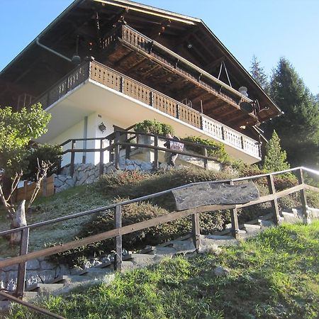 Chalet Erica Apartment Jaun Exterior foto