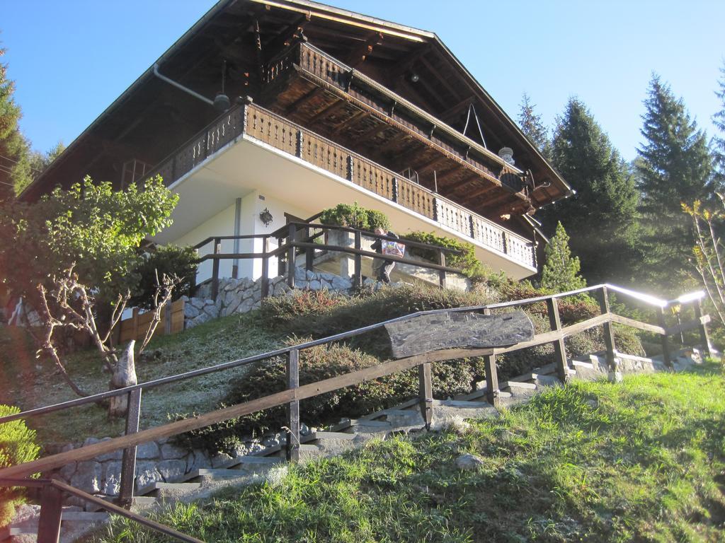 Chalet Erica Apartment Jaun Exterior foto