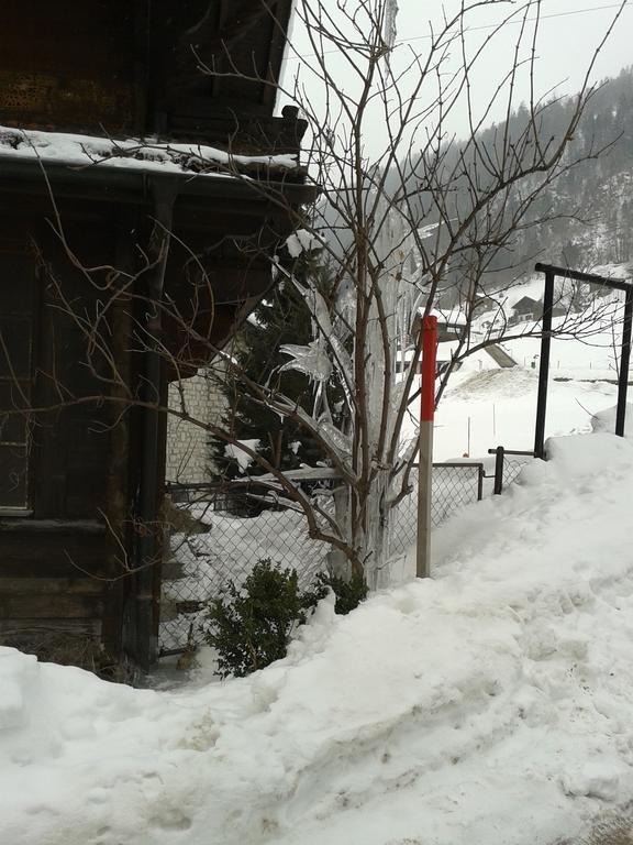 Chalet Erica Apartment Jaun Exterior foto