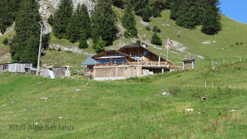 Chalet Erica Apartment Jaun Exterior foto