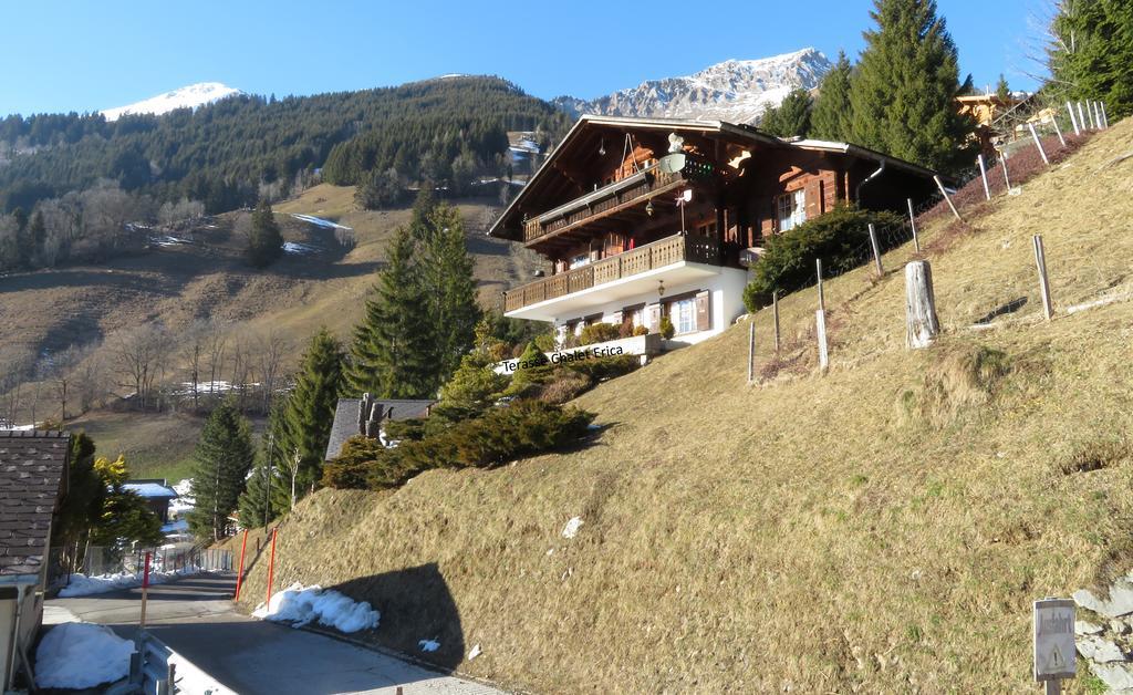 Chalet Erica Apartment Jaun Exterior foto